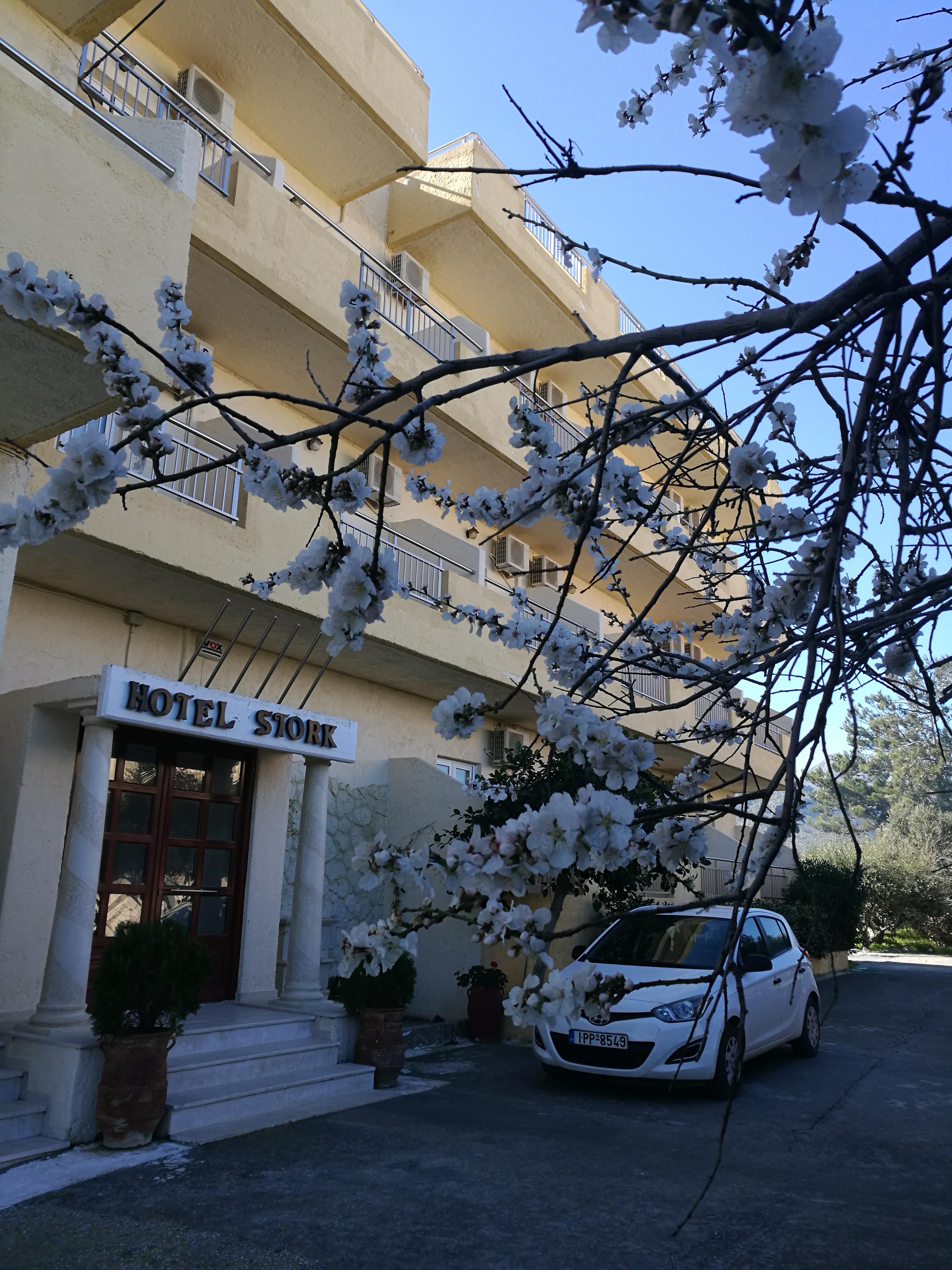 Stork Hotel 3*