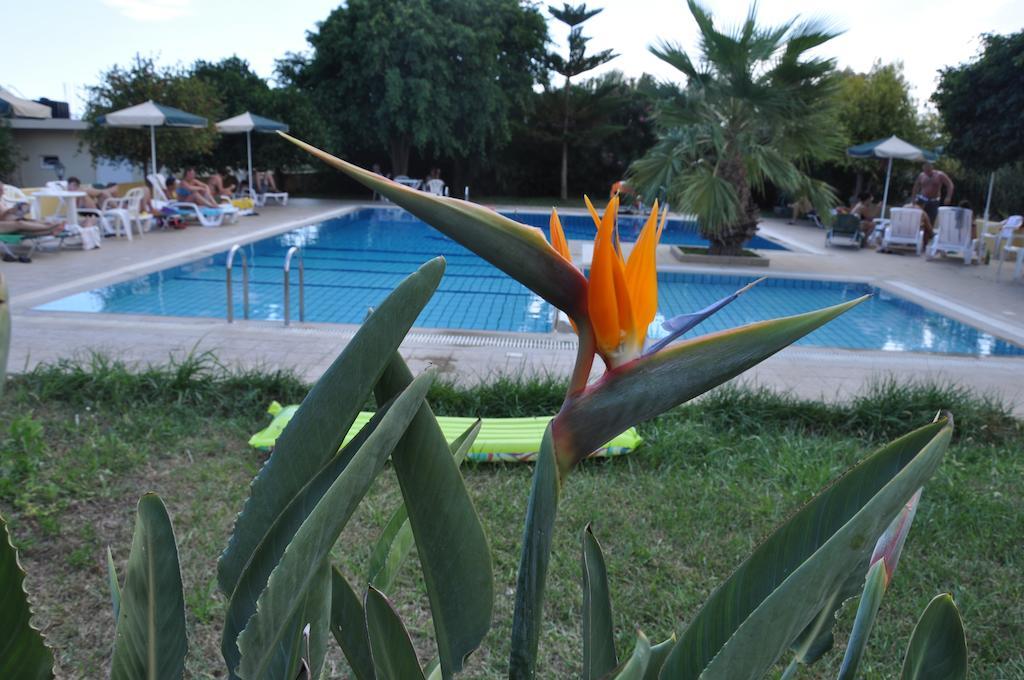 Hotel Stork